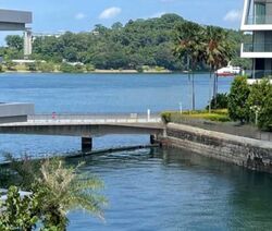 The Reef At King’s Dock (D4), Condominium #464993091